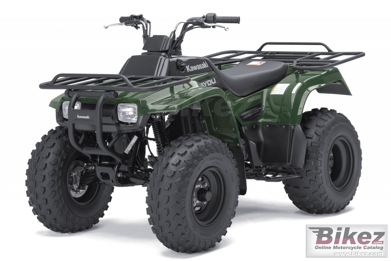 Big Kawasaki bayou 250 picture and wallpaper from Bikez.com